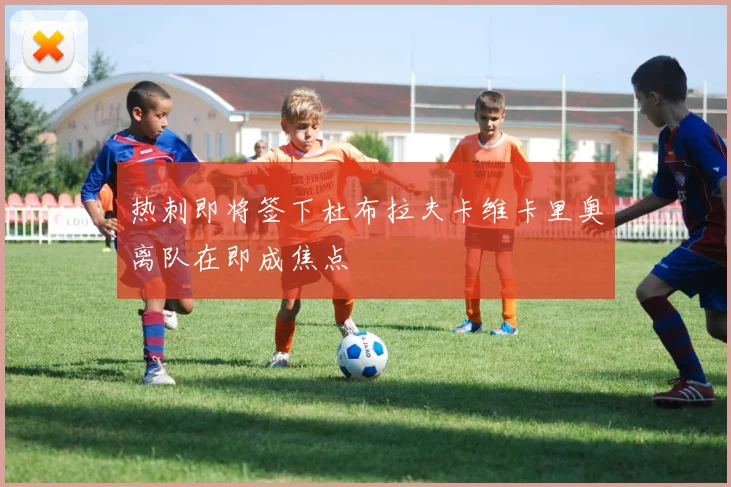 热刺即将签下杜布拉夫卡维卡里奥离队在即成焦点
